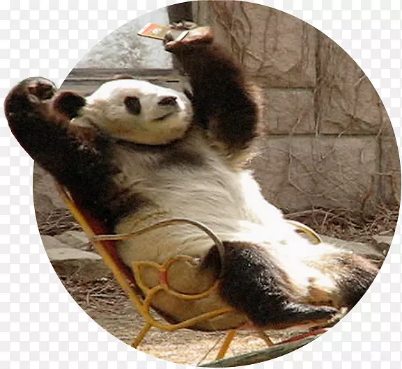 ����èƤë����-������