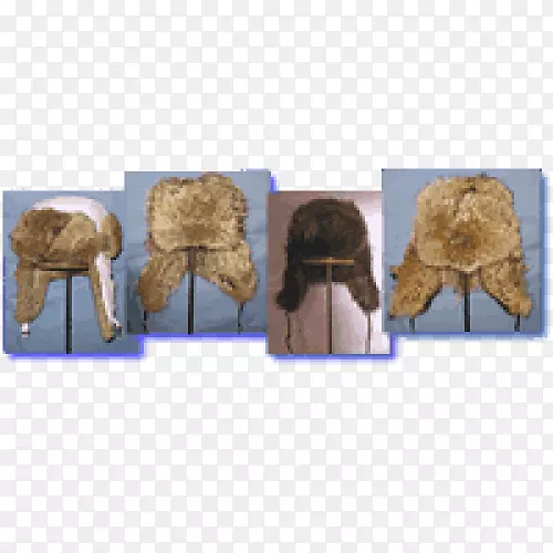 ëƤ�·�����-��ëƤñ-������