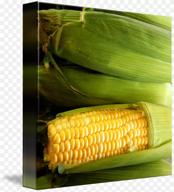 ����о�ϵ�������������ȻʳƷ.��������-������