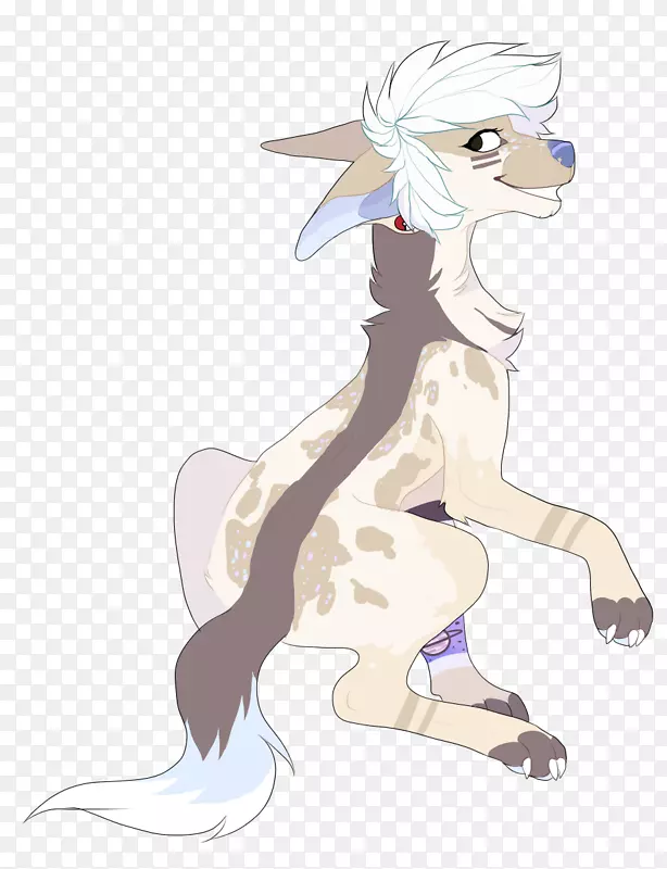 Ȯ�ƿ�ͨ��-������