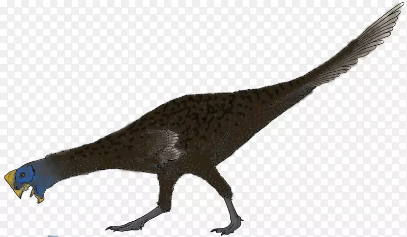 ๶�����ëҰ������β����ë-������