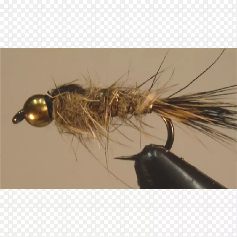 �˹����ö�-������