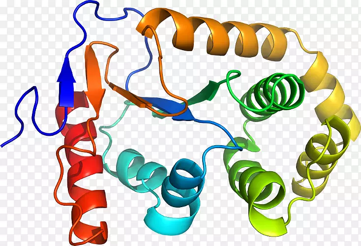 ���������л����߼�������-������