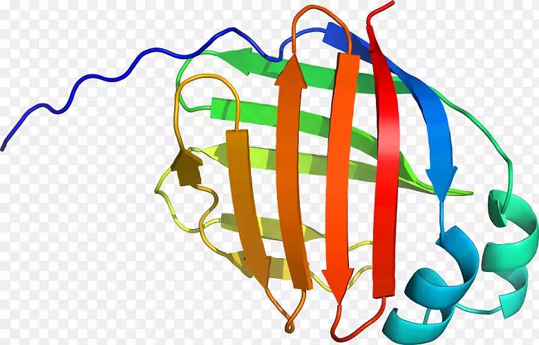 ������Ϊ���л�����������-������