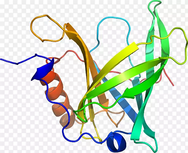 ֱ�ߵ�ֲ�ﾥ��������-������