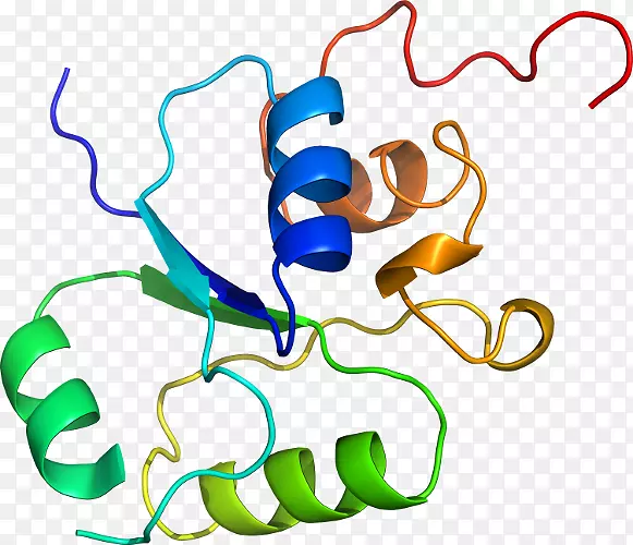 ���������л����߼�������-������