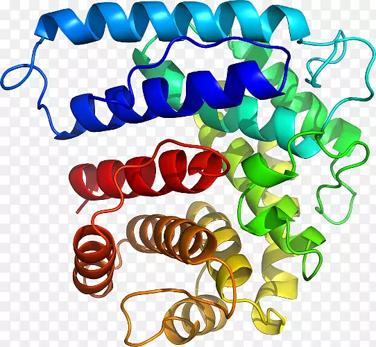 ���������л����߼�������-������