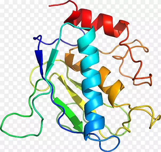 �ߵ������������-������