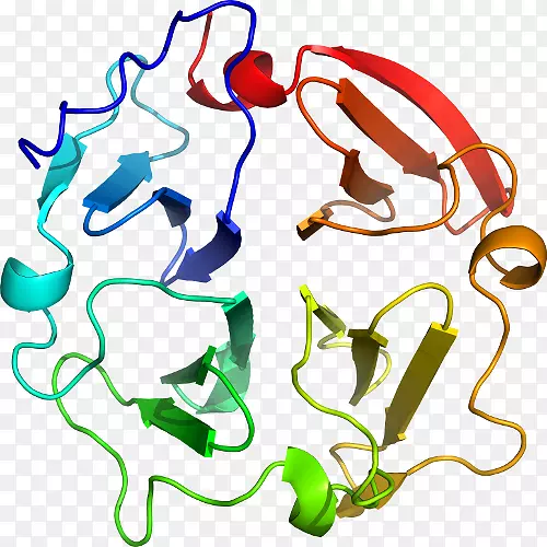 �ߵ������-��-������