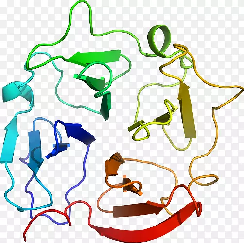 �ߵ������������-������