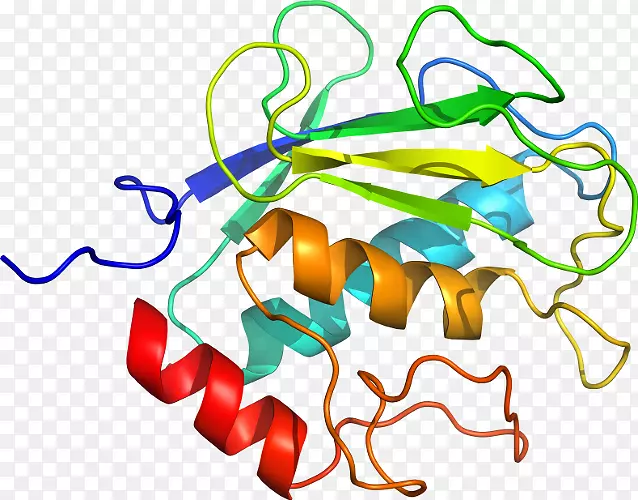 ������Ϊ���л�����������-������