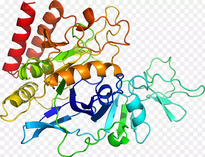 ������Ϊ���߼�������-������