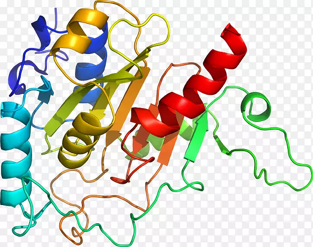 �߲��л���ϵ�м�����-�߲�-������