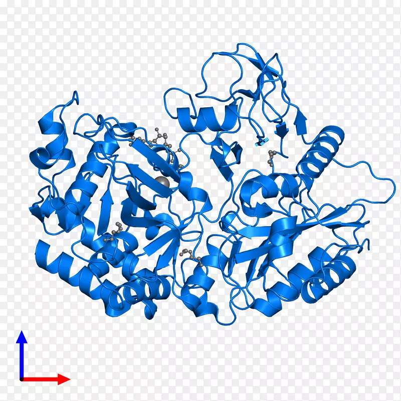 �ߵ������-��-������