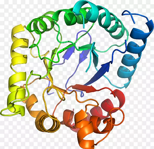 ���������л����߼�������-������