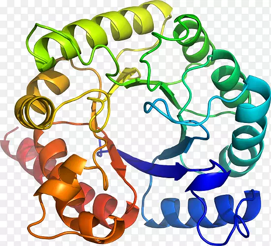 ���������л����߼�������-������