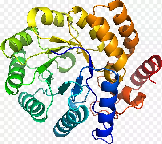 �����߶����������-������