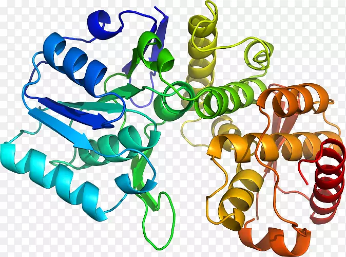 ���������л����߼�������-������