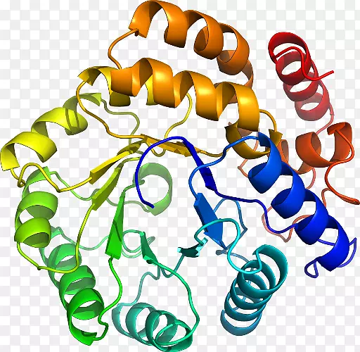 ���������л����߼�������-������