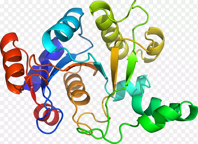 ���������л����߼�������-������