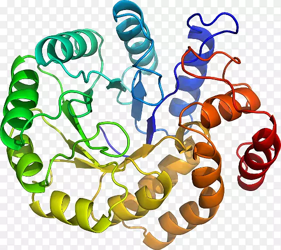 ���������л����߼�������-������