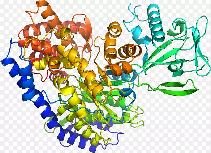 ����ʳ���鱦����������-������