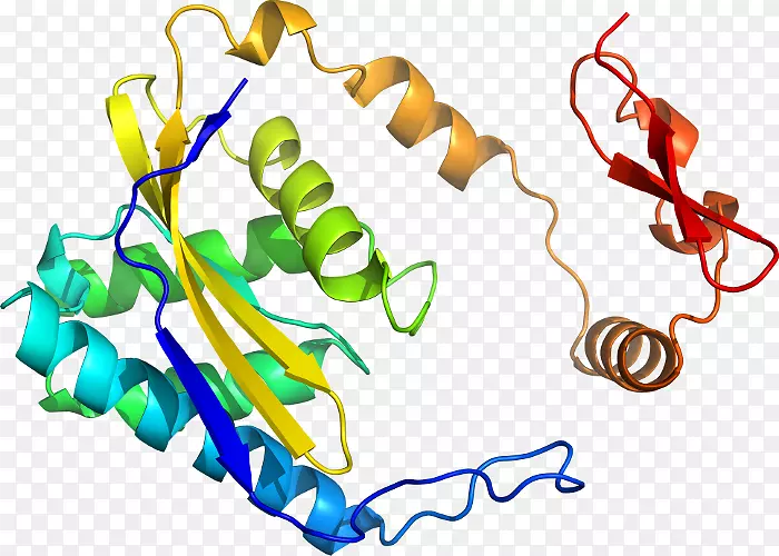 ���������л����߼�������-������