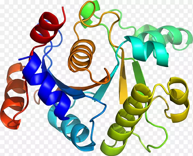 ���������л����߼�������-������