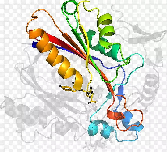 ƽ����Ƽ�����.���-������