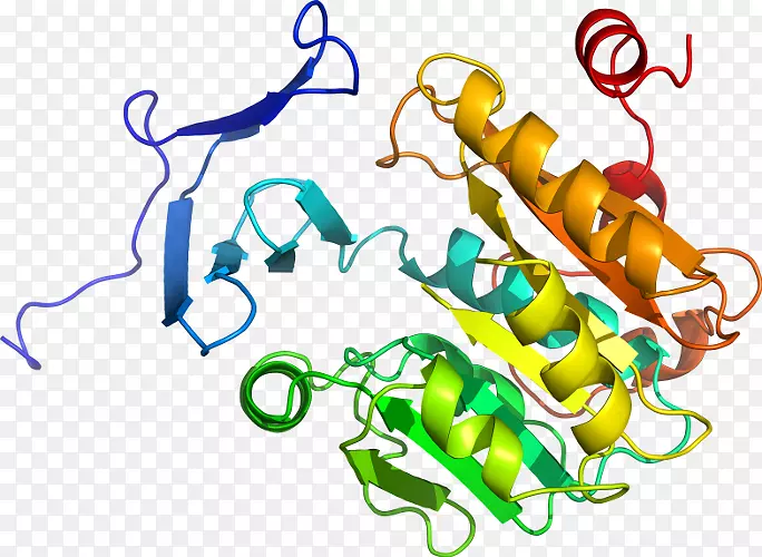 �ߵ������-��-������