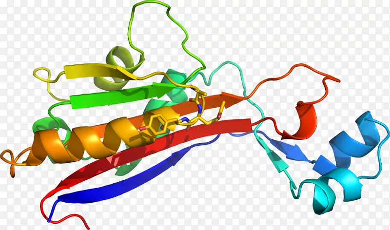 �����鱦���л����������-������