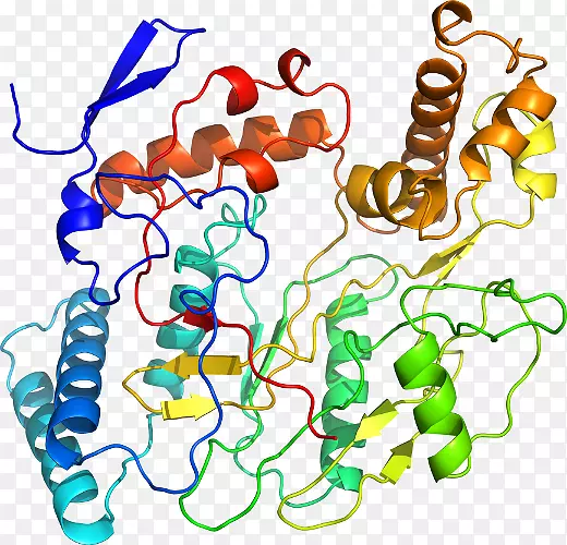 ���������л����߼�������-������