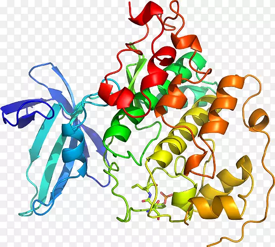 �߲�����������-�߲�-������