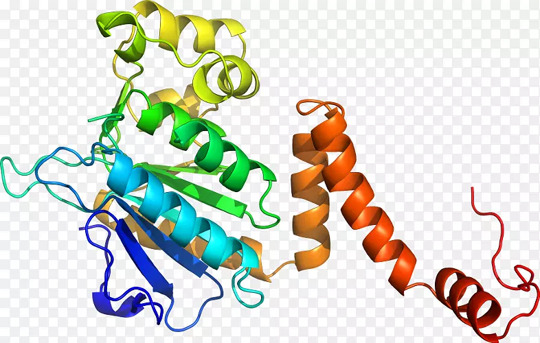 ���������л����߼�������-������