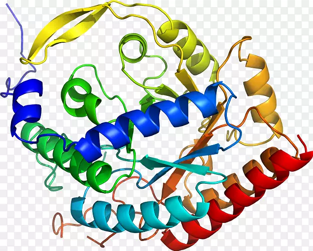 ���������л����߼�������-������