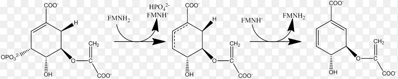 ���ϲ;��������-������
