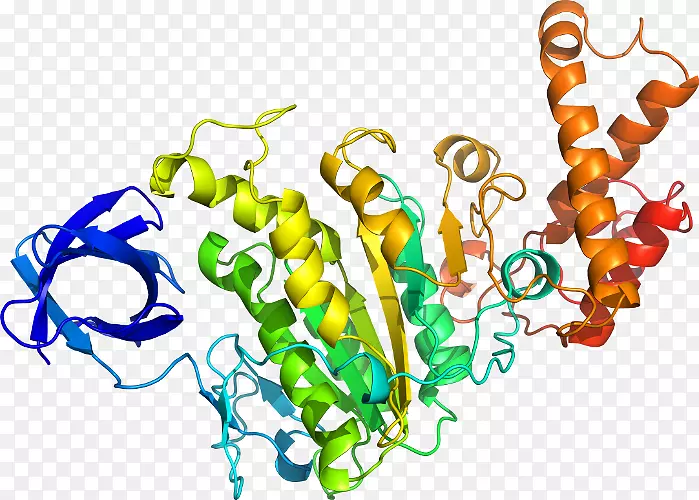 ���������л����߼�������-������