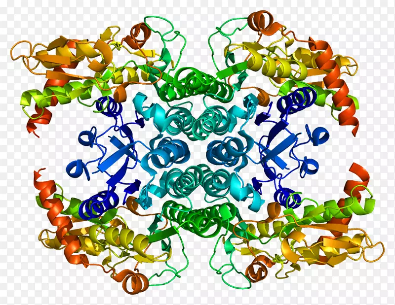 �鱦���μ�����.�鱦-������