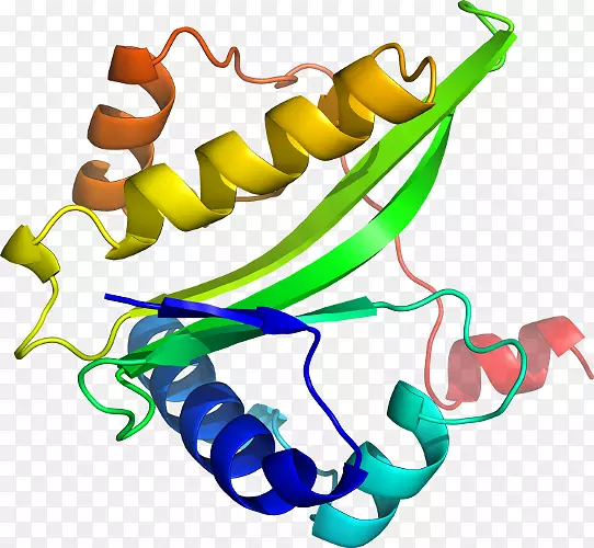 ���������л����߼�������-������