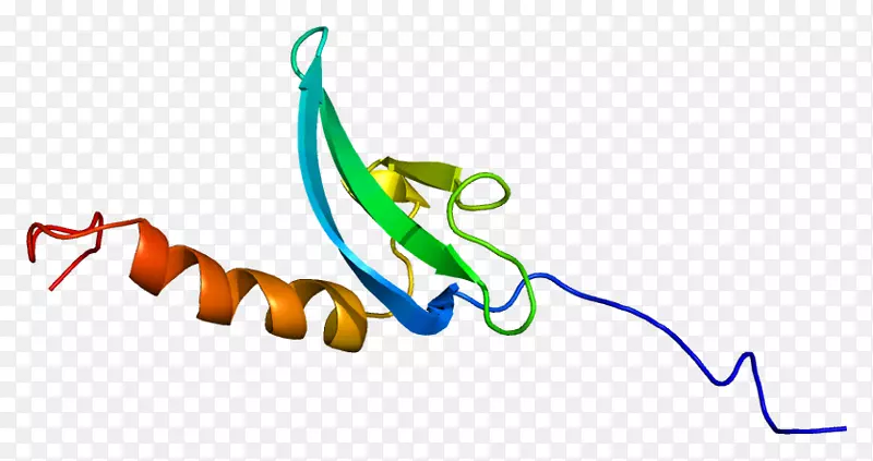 ����ƽ����Ƶ��������-������