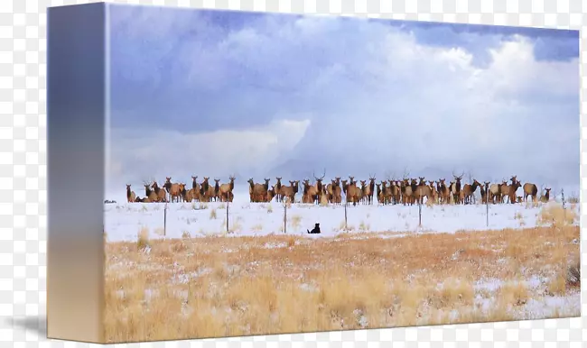 ���ʻ���ݶƽ�.������-������