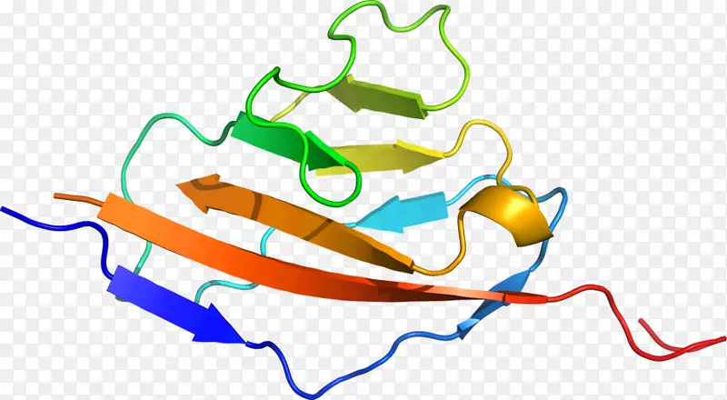 �ߵ������-��-������