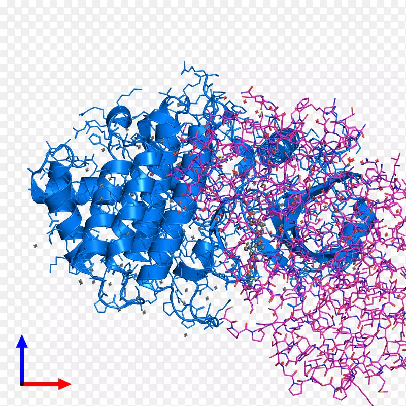 �ߵ���������-������