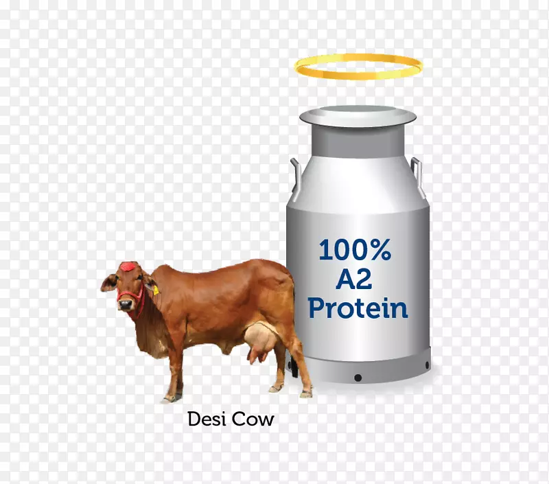 ţ�����-������