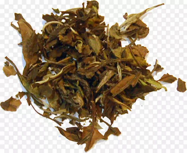 ������������÷����˹��˿��跻-������