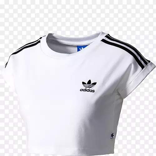 t�����ϴ�˹ԭ�����ﶥ�˰��ϴ�˹����-������