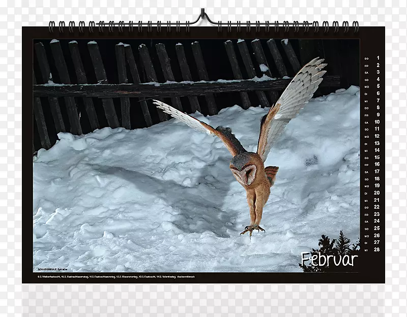 ����걾��Ӱ-Kalender 2018ӡ��������-������