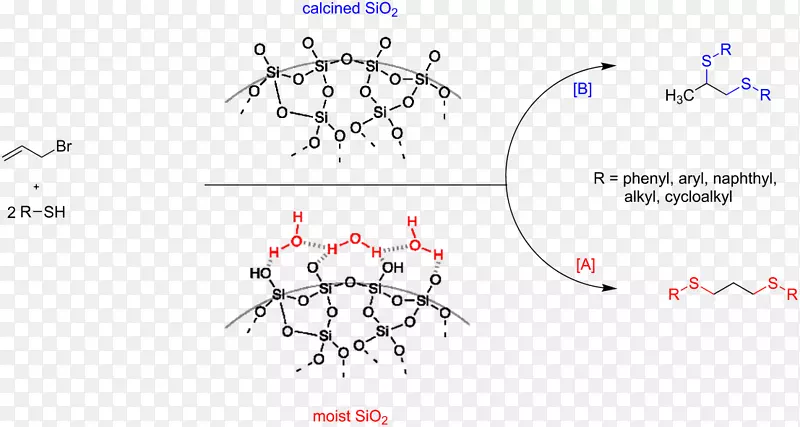 ���Ϲ轺�����ε�ǽ�-������