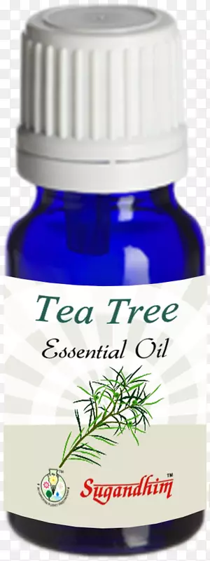 ����޹�²ݾ��Ͳ���-������