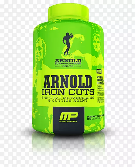 ��ʳ���������۹�˾��֧��������-Arnold scharzennegger-������